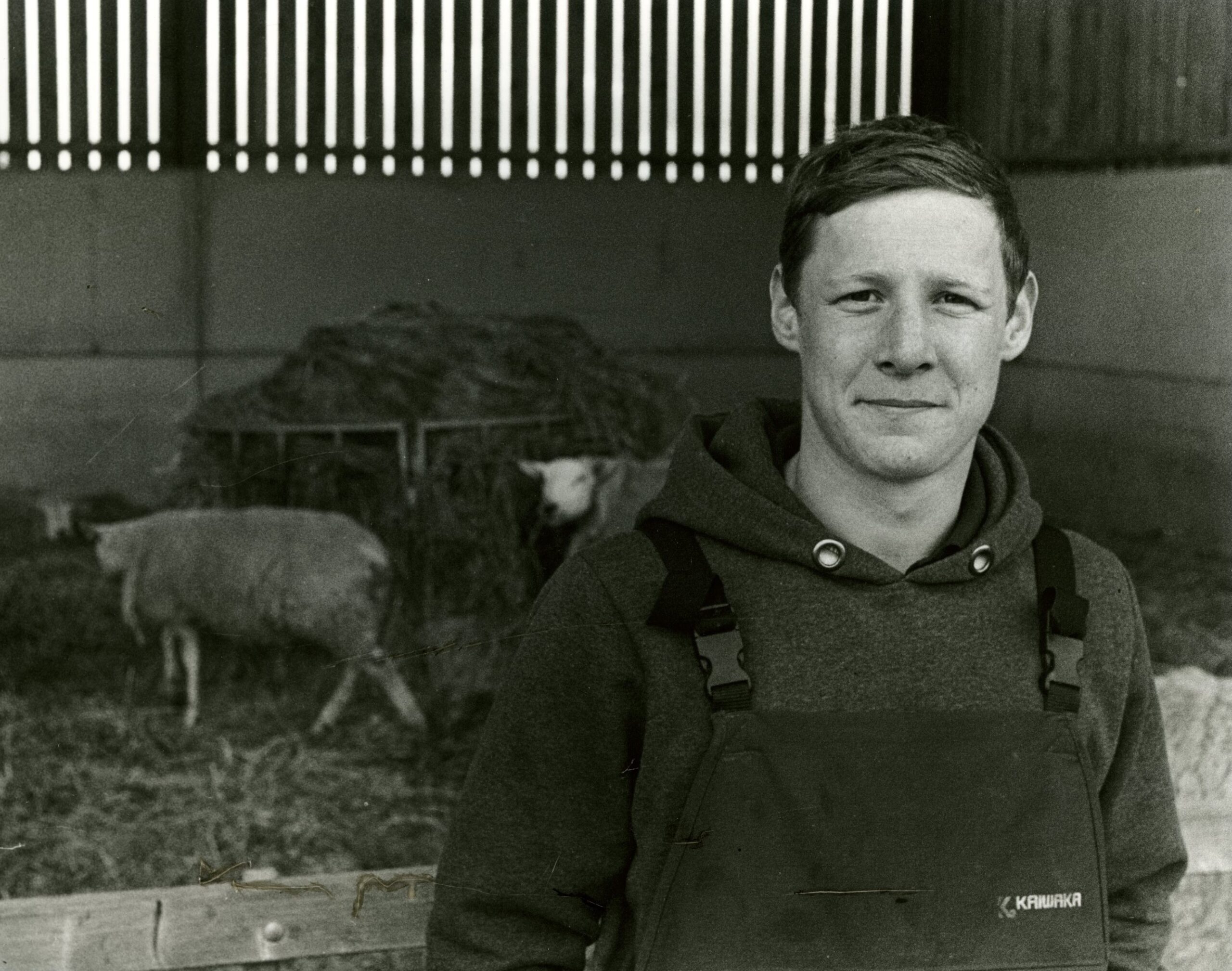 Harry Collishaw, - young sheep farmer, Gedney Hill